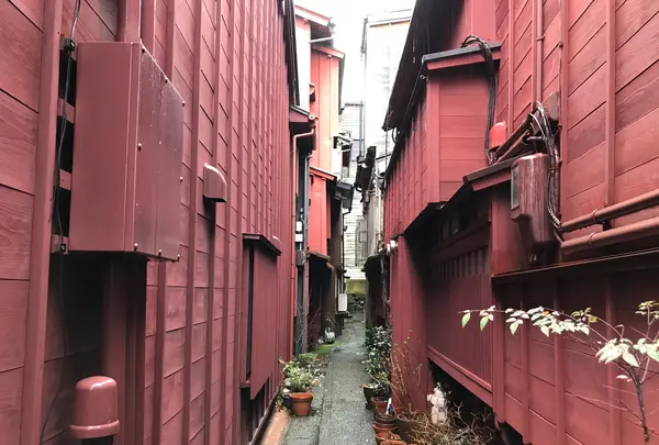 ひがし茶屋街の写真・動画_image_347154