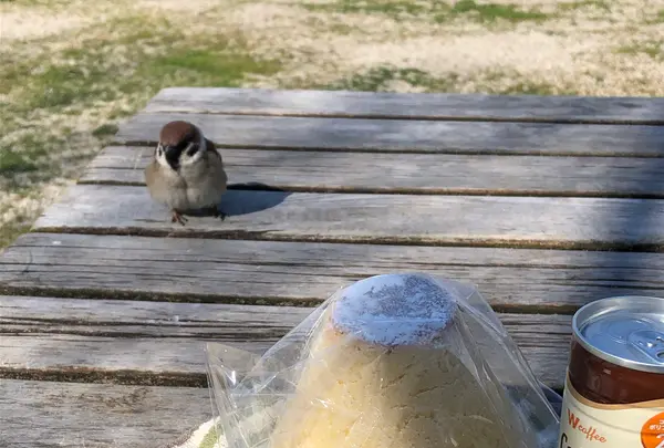 gooz EXPRESS平塚PA店の写真・動画_image_347394