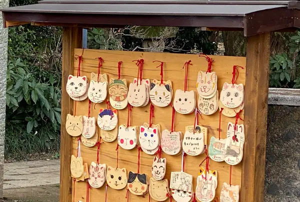 前玉神社の写真・動画_image_347933