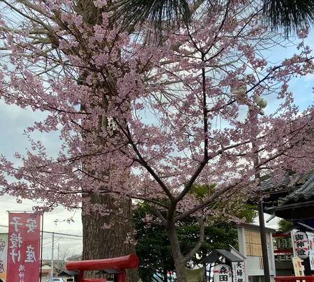 鴻神社の写真・動画_image_347934