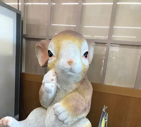 月うさぎの里の写真・動画_image_348202