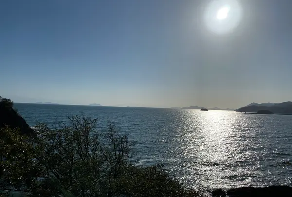 仙酔島の写真・動画_image_348373