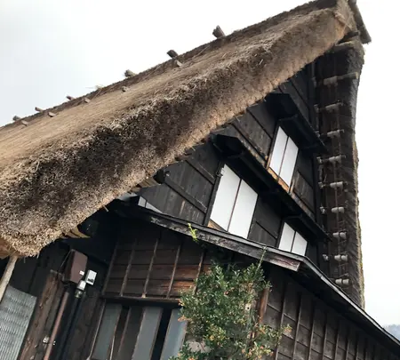 白川郷合掌造りの写真・動画_image_348504