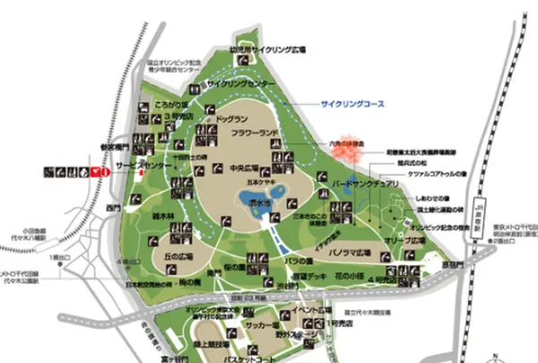 代々木公園の写真・動画_image_348601