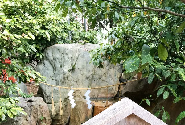 生田神社の写真・動画_image_348751