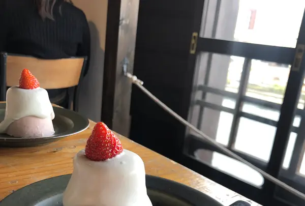 OXYMORON 北浜の写真・動画_image_348772