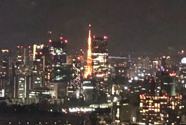 東京都庁展望室の写真・動画_image_348800