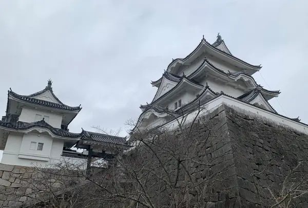 上野公園の写真・動画_image_348910