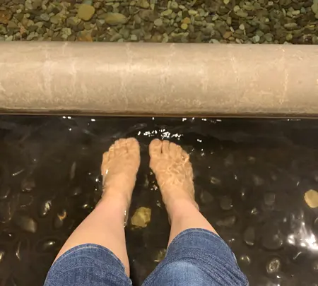 なばなの里の写真・動画_image_348912