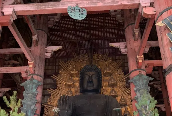 東大寺の写真・動画_image_349198
