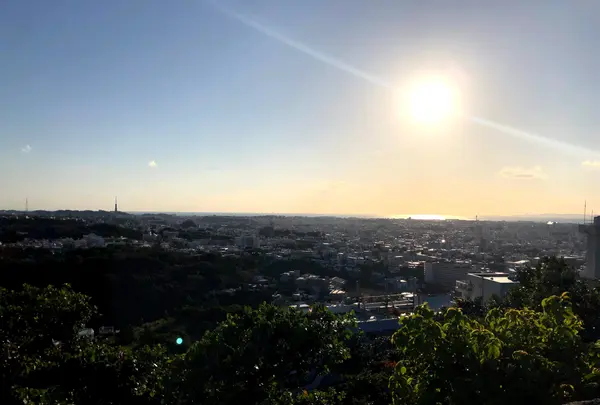 首里城の写真・動画_image_349422