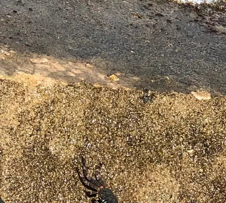 波の上うみそら公園の写真・動画_image_349510
