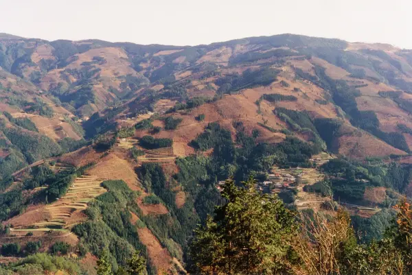 諸塚ダムの写真・動画_image_349554