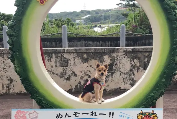 おきなわワールドの写真・動画_image_349653