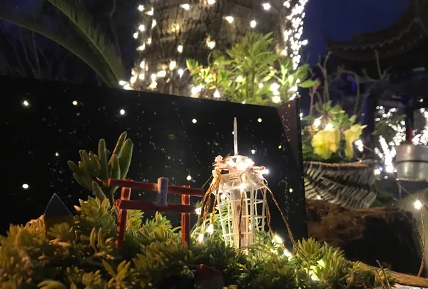 江の島サムエル・コッキング苑の写真・動画_image_349698