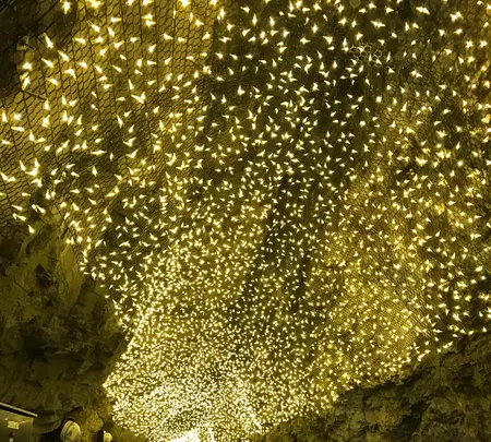 江の島岩屋の写真・動画_image_349701