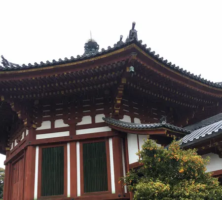 興福寺の写真・動画_image_349797