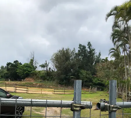 瀬良垣ホースファームの写真・動画_image_349829