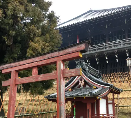 東大寺二月堂の写真・動画_image_349831