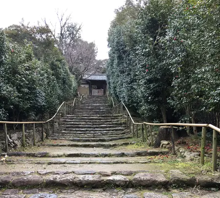 白毫寺の写真・動画_image_349839