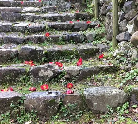 白毫寺の写真・動画_image_349840