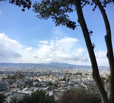 白毫寺の写真・動画_image_349841