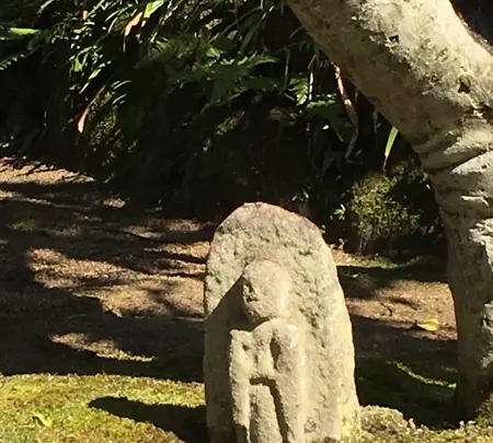 白毫寺の写真・動画_image_349852