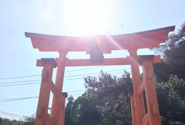 長浜神社の写真・動画_image_350118
