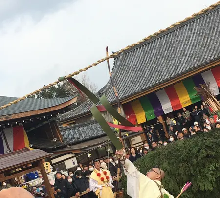 聖護院の写真・動画_image_350181