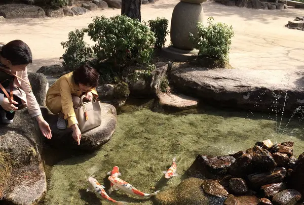 みやじまの宿 岩惣の写真・動画_image_350314