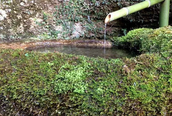 玉氷の写真・動画_image_350323