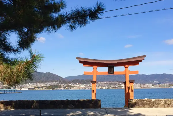 長浜神社の写真・動画_image_350335