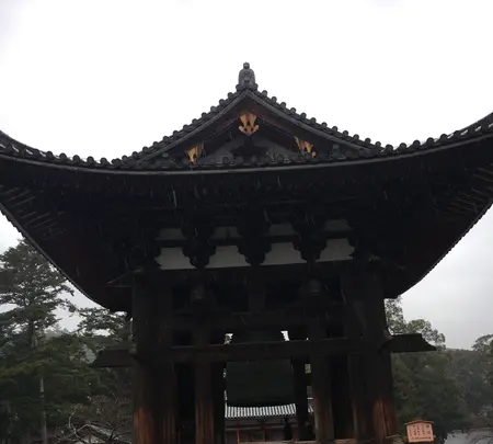 東大寺の写真・動画_image_350411