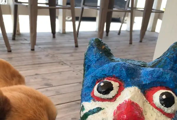 瀬長島ウミカジテラスの写真・動画_image_350412