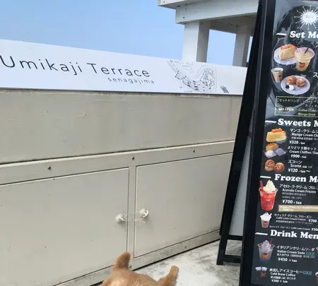 瀬長島ウミカジテラスの写真・動画_image_350415