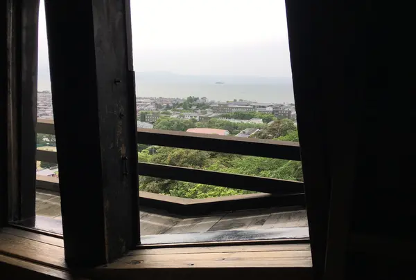 彦根城の写真・動画_image_350652