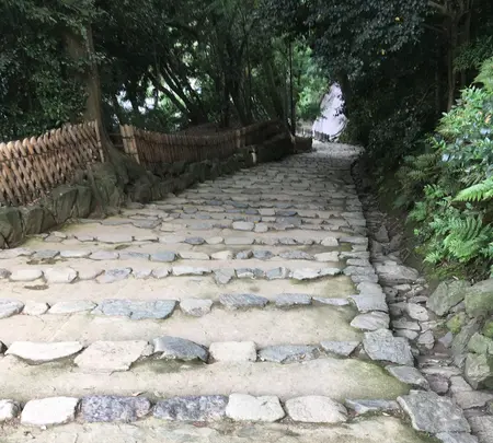 彦根城の写真・動画_image_350658