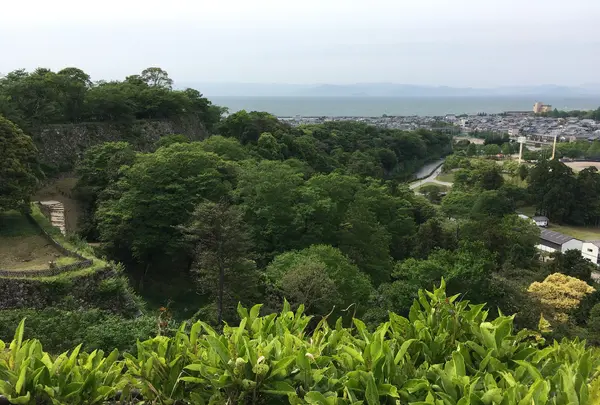 彦根城の写真・動画_image_350661