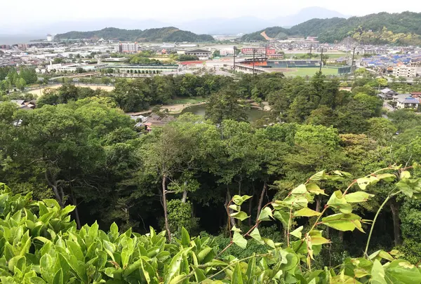 彦根城の写真・動画_image_350665