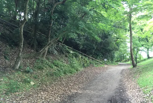 彦根城の写真・動画_image_350669