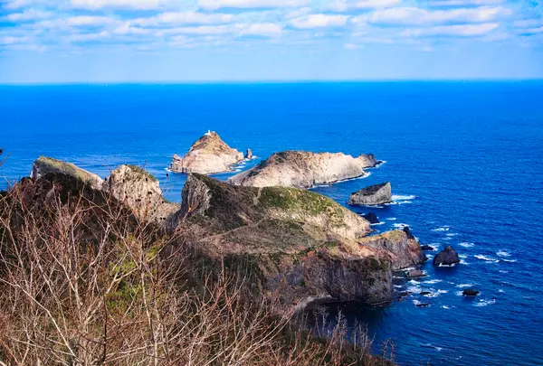 白島展望台の写真・動画_image_350924