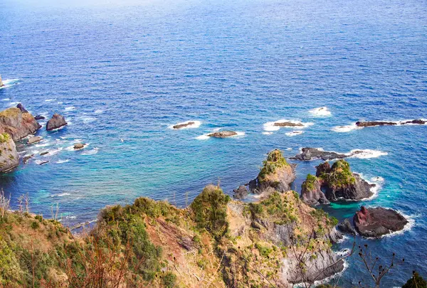 白島展望台の写真・動画_image_350925