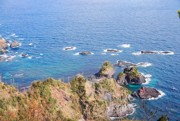 白島展望台の写真・動画_image_350926
