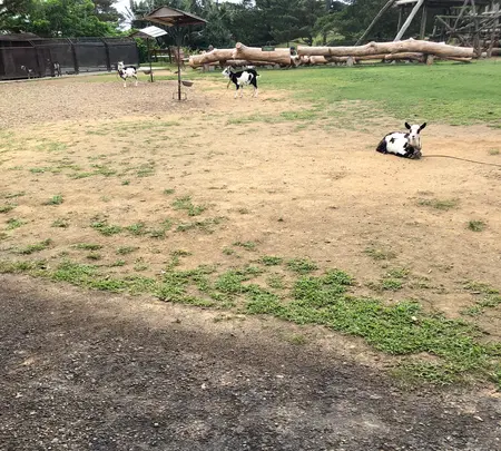 ビオスの丘の写真・動画_image_351120