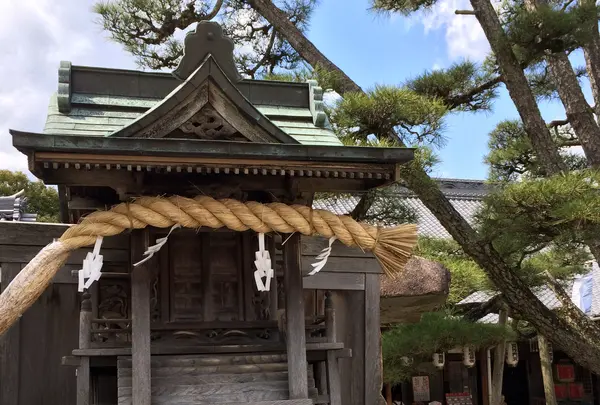 大願寺の九本松の写真・動画_image_352110