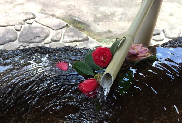 大願寺の写真・動画_image_352113