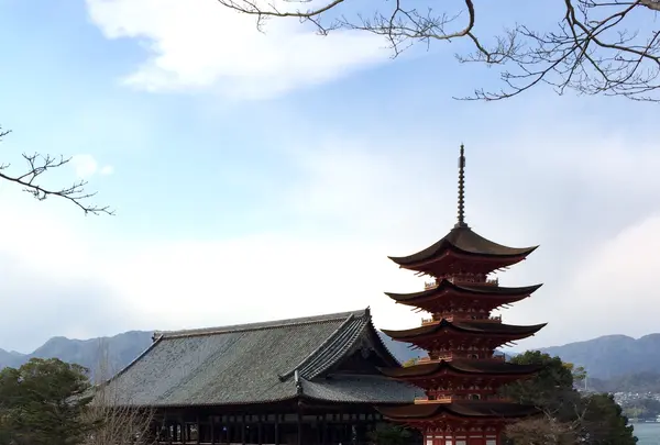 天心閣の写真・動画_image_352120