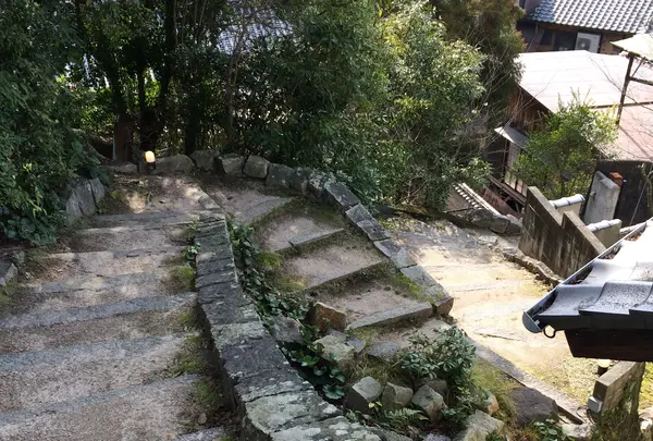 天心閣の写真・動画_image_352124