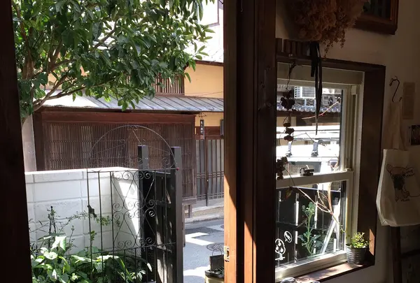 TRUNKの写真・動画_image_352136