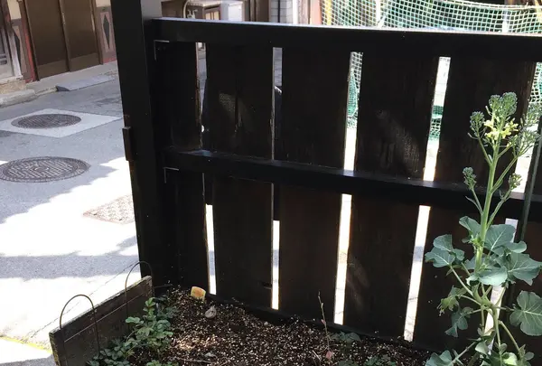 TRUNKの写真・動画_image_352140